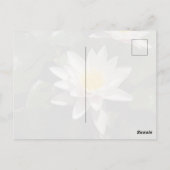 Water Lily Postcard ポストカード (裏面)