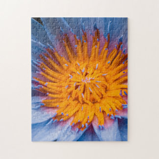 Water Lily Puzzle 11" X 14" 252 pieces ジグソーパズル