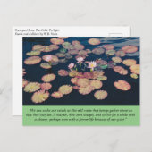 Water Lily Stillness Postcard ポストカード (正面/裏面)