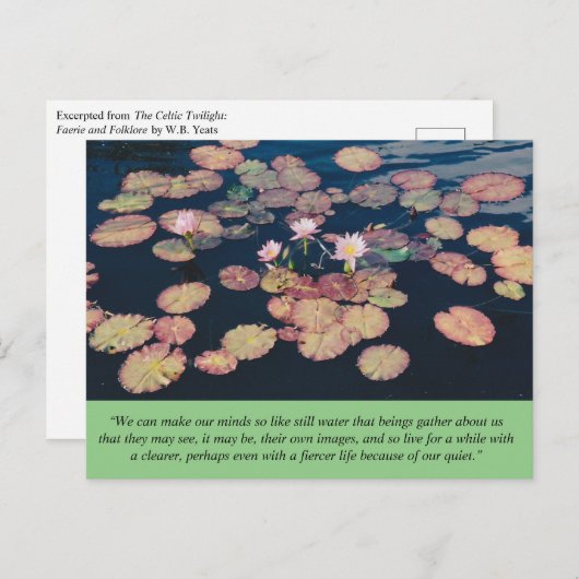 Water Lily Stillness Postcard ポストカード (正面/裏面)