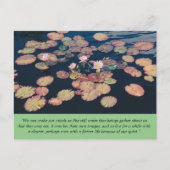 Water Lily Stillness Postcard ポストカード (正面)