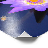 Water Lily with Bee 10" x 8"フォトプリント フォトプリント (角)