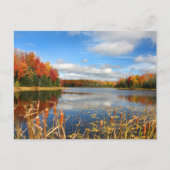 Water | Mabel Lake Canada ポストカード (正面)