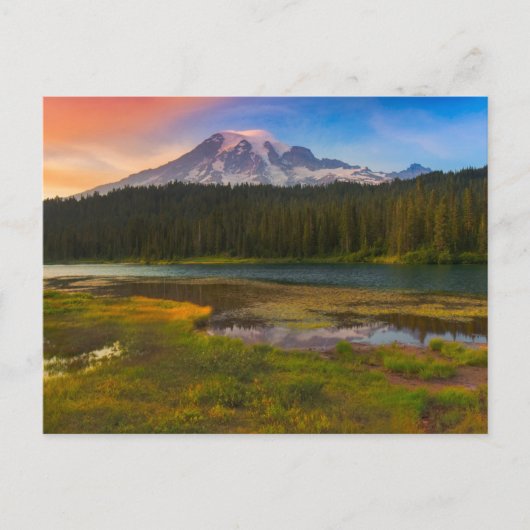 Water | Mt. Rainier National Park, Washington ポストカード (正面)