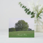 Water Oak Treeありがとうはがき ポストカード (スタンド正面)