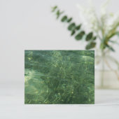 Water over Sea Grass II (Blue and Green)写真 (スタンド正面)