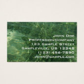 Water over Sea Grass II (Blue and Green)写真 (正面)