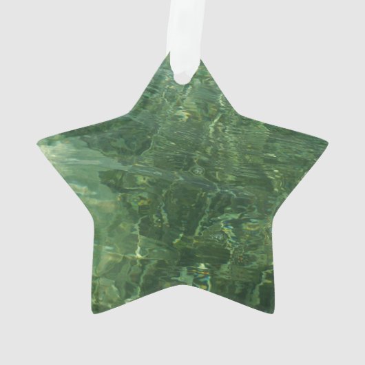 Water over Sea Grass II (Blue and Green)写真 オーナメント (裏面)