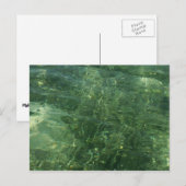Water over Sea Grass II (Blue and Green)写真 ポストカード (正面/裏面)