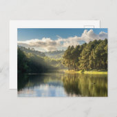 Water | Pang Oung Lake & Pine Forest Thailand ポストカード (正面/裏面)
