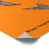 Water Serpent, Mimbres Pottery Design Poster ポスター (角)