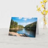 Water | Spruce Lake Quebec, Canada カード (黄色い花)