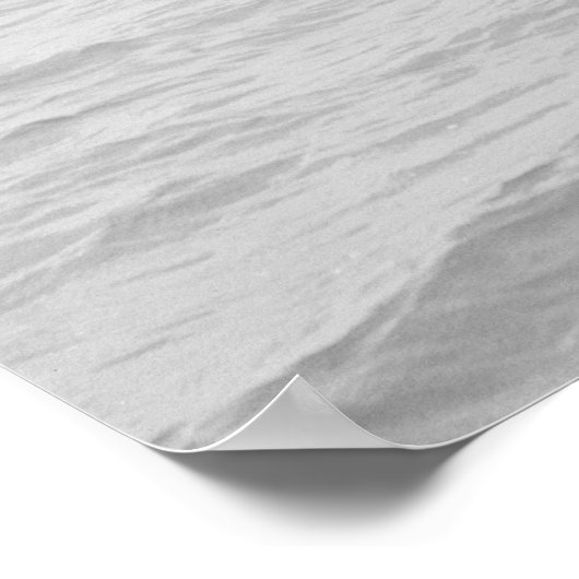 Water Toboggan, Bois Blanc, MI 1903 ポスター (角)