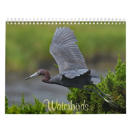 Waterbirds 4 カレンダー (カバー)