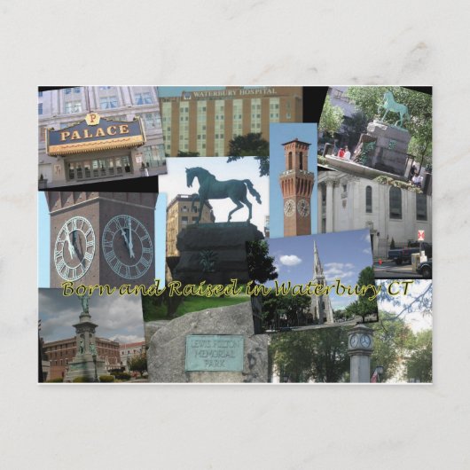 Waterbury CT生まれで発生 ポストカード (正面)