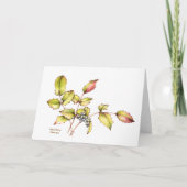 Watercolor barberry greeting card blank inside カード (正面)