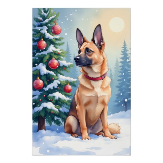 Watercolor Belgian Malinois Evergreen Christmas ポスター (正面)