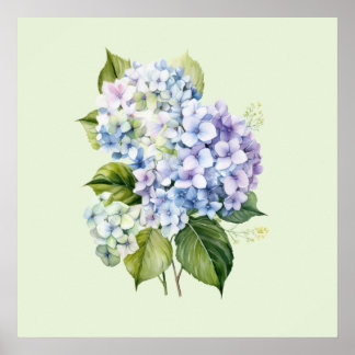 Watercolor Botanical Floral Hydrangea ポスター