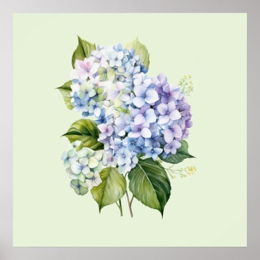 Watercolor Botanical Floral Hydrangea ポスター (正面)