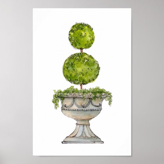 Watercolor Boxwood topiary in antique urn  ポスター (正面)