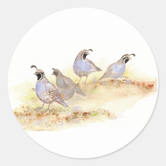  Watercolor California Quail ラウンドシール (正面)