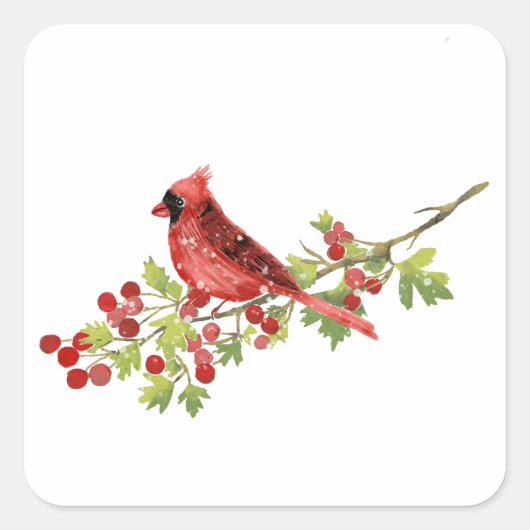 Watercolor Cardinal Bird on Berry Branch  スクエアシール (正面)
