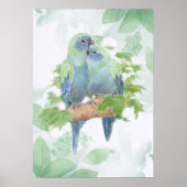 Watercolor Cuddling Parrot Bird Couple Tropical ポスター (正面)