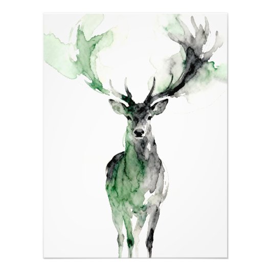 Watercolor Deer with Antlers フォトプリント (正面)