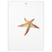 Watercolor Drawing of Starfish クリップボード (裏面)