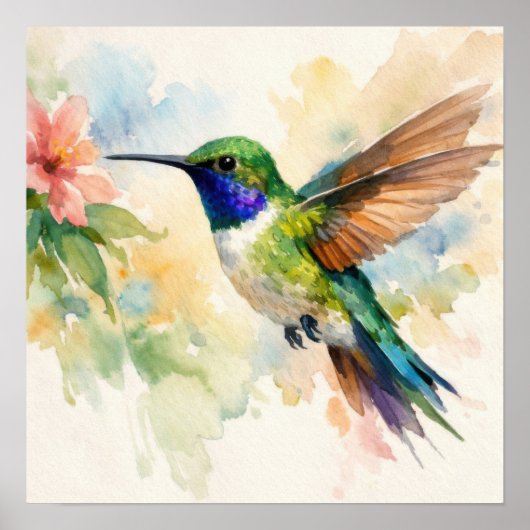 Watercolor Hummingbird ポスター (正面)
