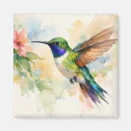 Watercolor Hummingbird マグネット