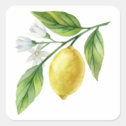Watercolor Lemon Pattern Poster スクエアシール (正面)