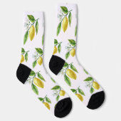 Watercolor Lemon Pattern Socks ソックス (右)