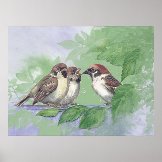 Watercolor Mother Sparrow Feeding Chicks ポスター (正面)