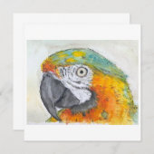 Watercolor of Parrot on Flat Card (正面/裏面)