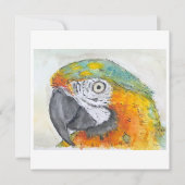 Watercolor of Parrot on Flat Card (正面)
