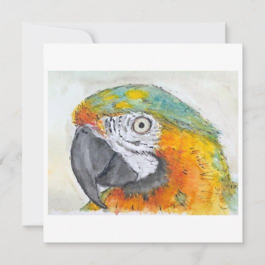 Watercolor of Parrot on Flat Card (正面)
