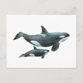 Watercolor Orca Whale Mother and Baby Poster ポストカード