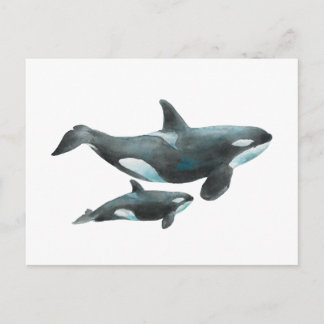 Watercolor Orca Whale Mother and Baby Poster ポストカード