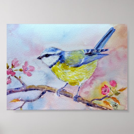 Watercolor Painting Bluetit Blue bird ポスター (正面)