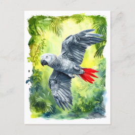 Watercolor painting of African grey parrot in jung シーズンポストカード
