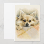 Watercolor Pomeranian Chihuahua Dog Portrait  サンキューカード (正面/裏面)