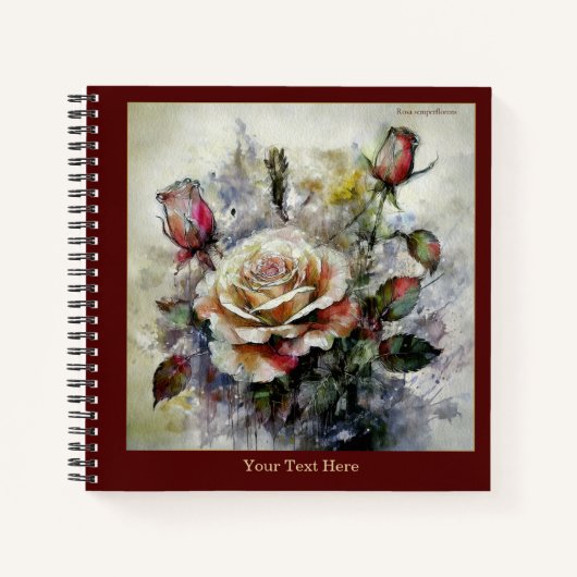 Watercolor Rosa semperflorens Notebook ノートブック (正面)