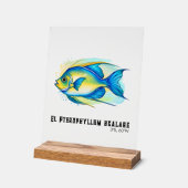 Watercolor Series: Angelfish アクリルサイン (傾斜)