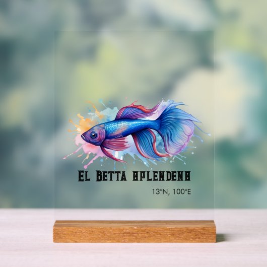 Watercolor Series: Betta Fish アクリルサイン (ニュートラル)