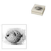 Watercolor Series: Blowfish ラバースタンプ (押印)