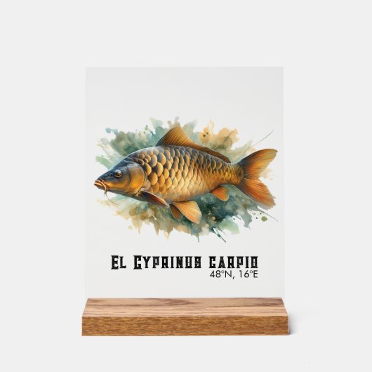 Watercolor Series: Carp アクリルサイン (正面)
