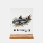 Watercolor Series: Catfish アクリルサイン (正面)