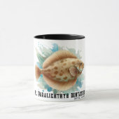 Watercolor Series: Flounder/Flatfish マグカップ (中央)