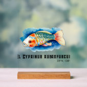 Watercolor Series: Koi Fish アクリルサイン (ニュートラル)